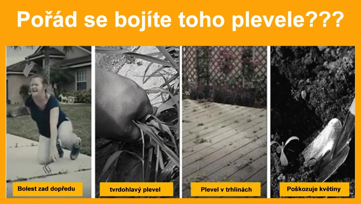 1709707134155334.jpg 烦图图.jpg