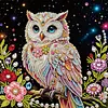 Diamond Painting-DIY Crystal Rhinestone Owl