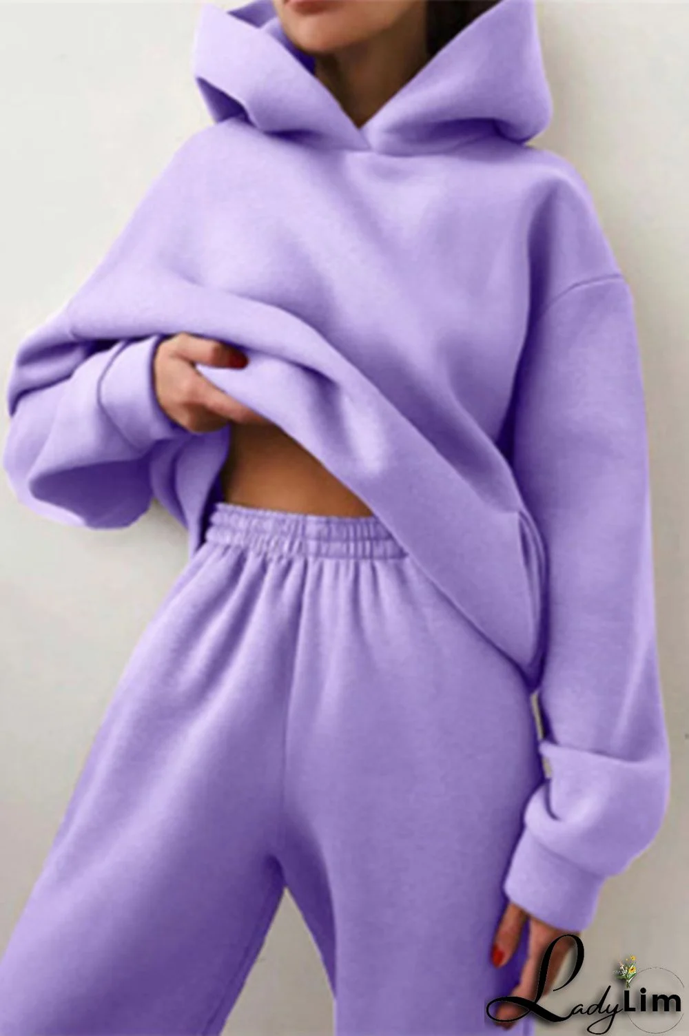 Purple Fashion Casual Solid Basic Hooded Collar Long Sleeve Two Pieces