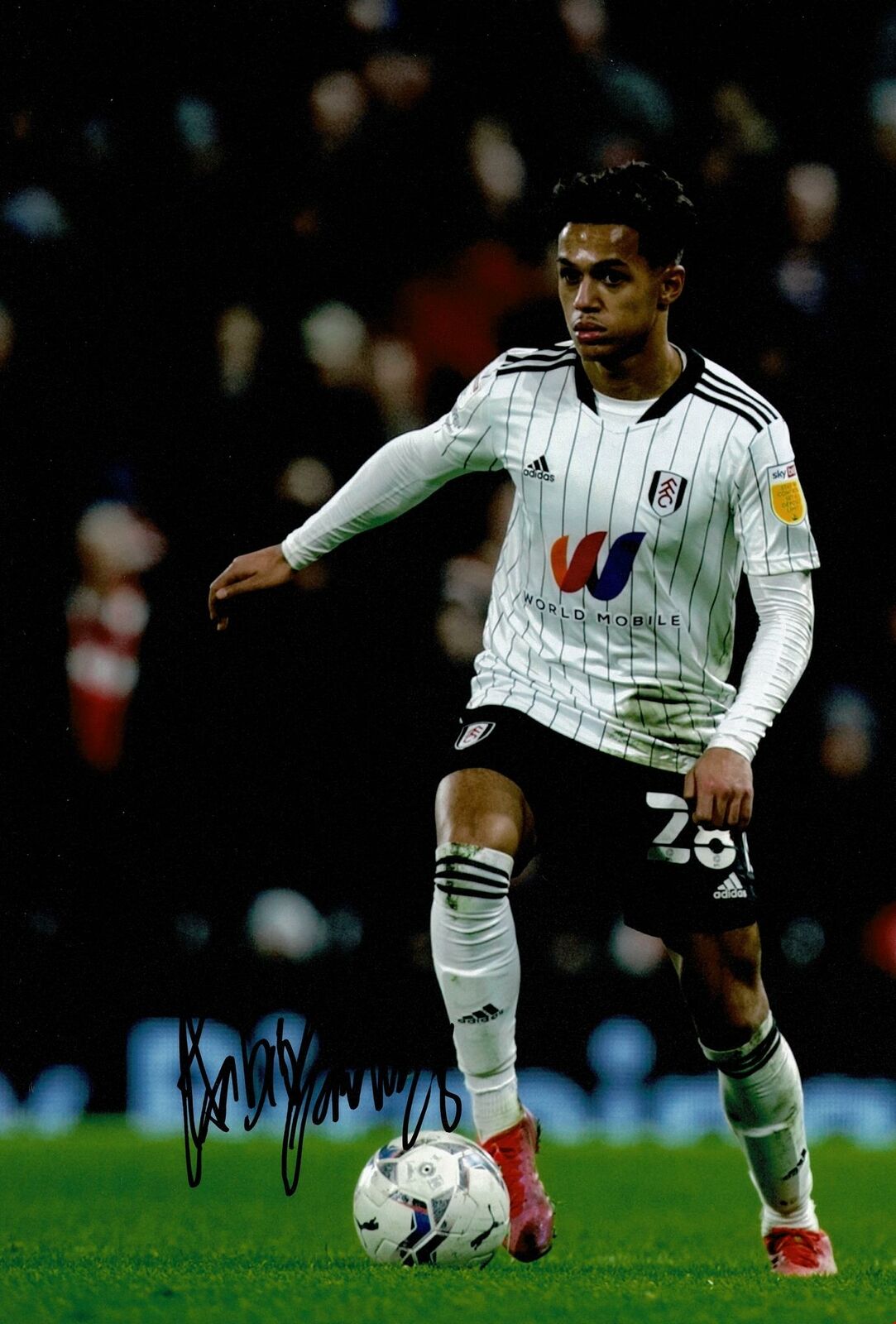 Fabio Carvalho Signed 12X8 Photo Poster painting Fulham F.C. Autograph AFTAL COA (1668)