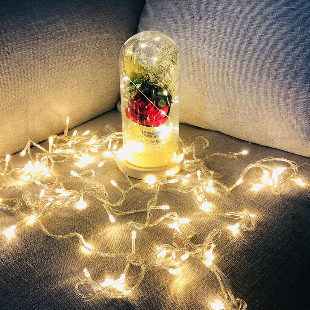 

Wooden Base 20LED Flower Glass Dome Copper Wire-Curtain String Night Light, 501 Original