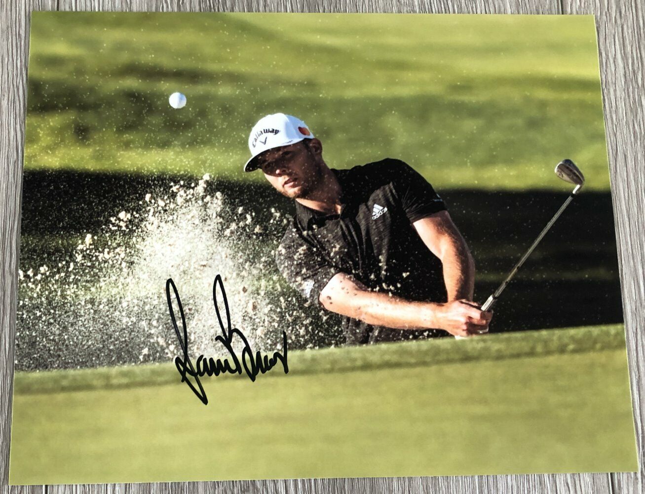 SAM BURNS LSU SIGNED AUTOGRAPH PGA GOLF 8x10 Photo Poster painting E LOUISIANA STATE UNIVERSITY