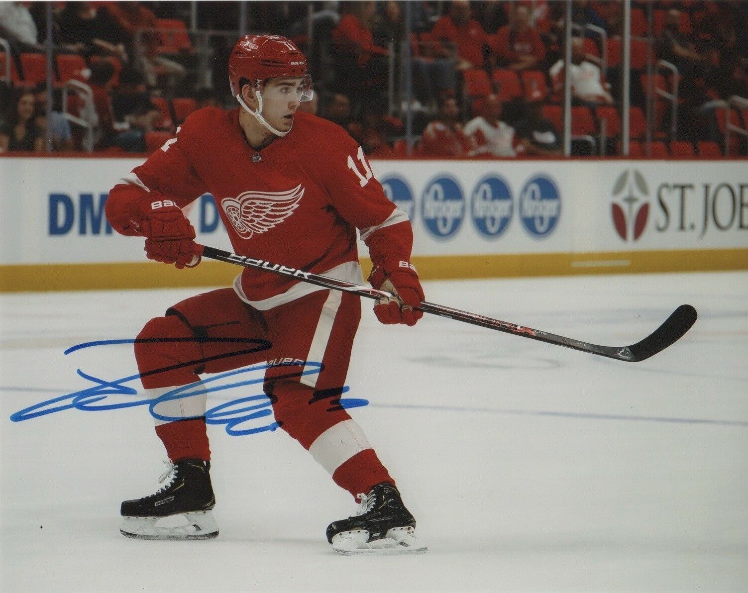 Detroit Red Wings Filip Zadina Autographed Signed 8x10 NHL Photo Poster painting COA #12