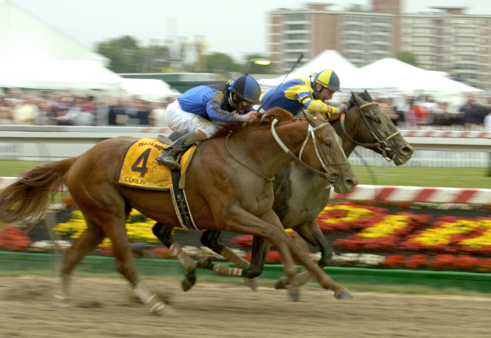 2007 Robby Albarado CURLIN Preakness Stakes Horse Racing 8x10 Photo Poster painting Street Sense