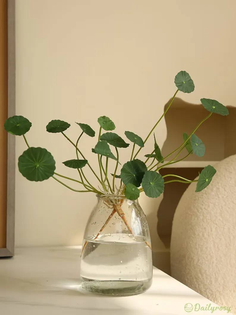 Copperleaf Seeds: Grow Your Own Luck and Prosperity! 🌿💰