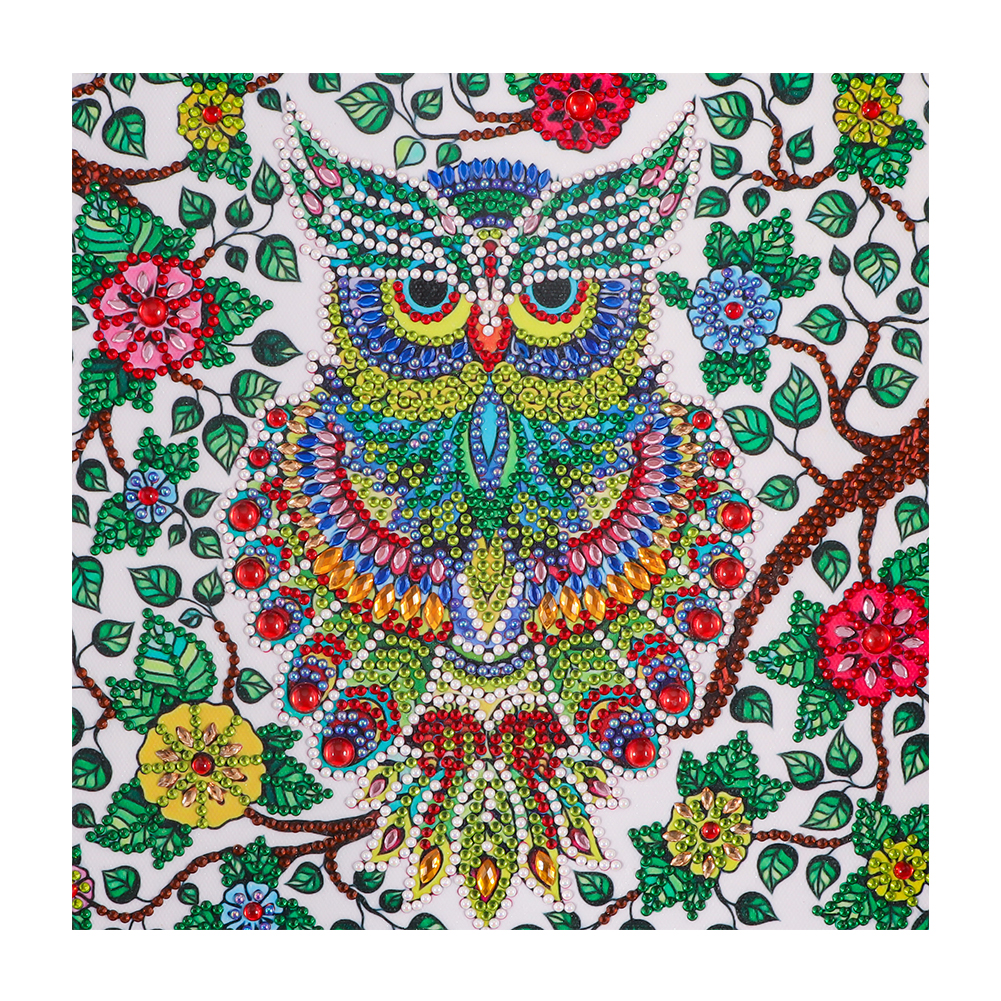 

30*30CM - Special Shaped Diamond Painting - Owl, 501 Original