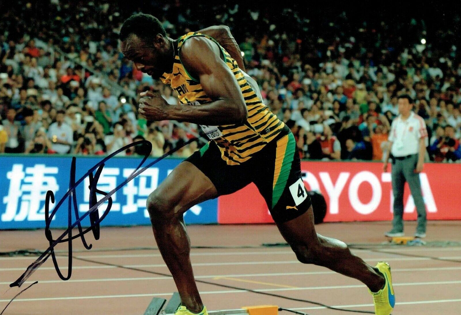 Usain BOLT Olympic Athlete 2019 SIGNED 12x8 Photo Poster painting 1 AFTAL Autograph COA