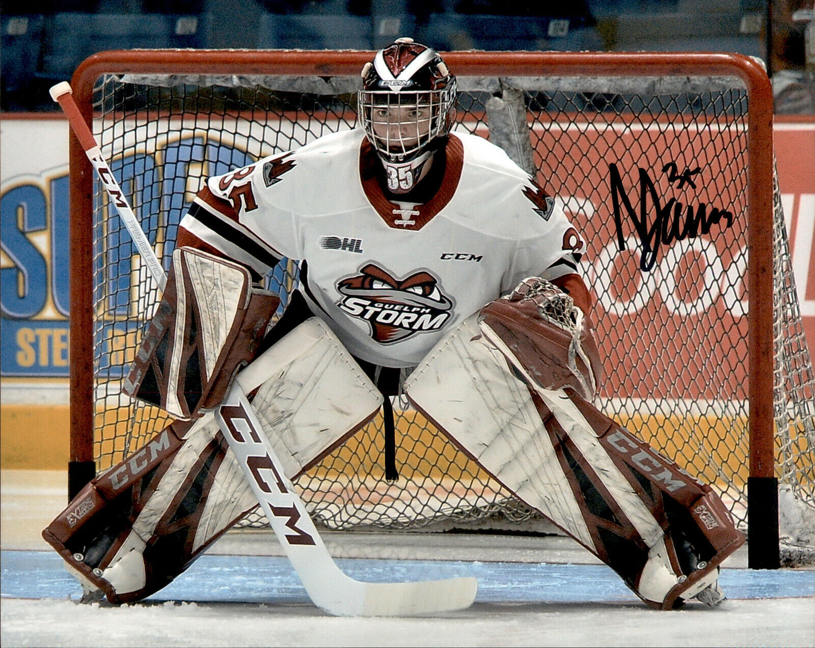 Nico Daws SIGNED autographed 8x10 Photo Poster painting GUELPH STORM / NEW JERSEY DEVILS #3