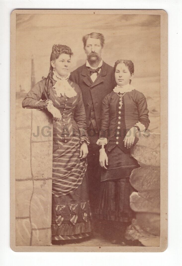 19th Century American Family - Cabinet Card Photo Poster painting - Phoenix, New York