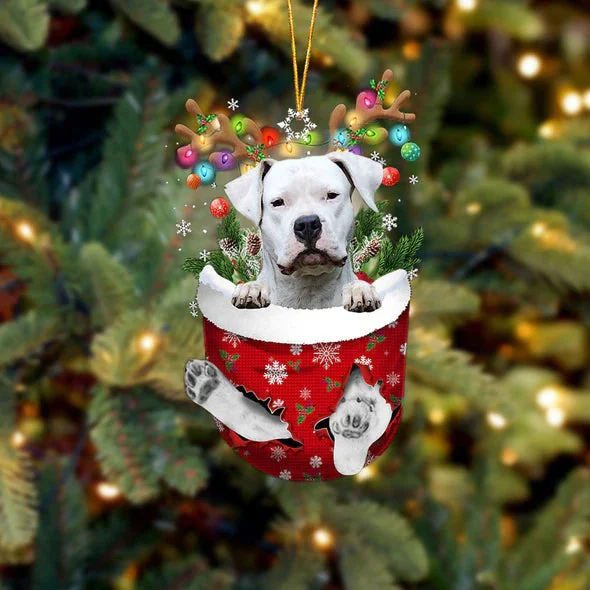 Dogo Argentino In Snow Pocket Christmas Ornament.