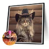 Désert cool cowboy chat à poil long-plein rond diamant peinture-30 * 30cm