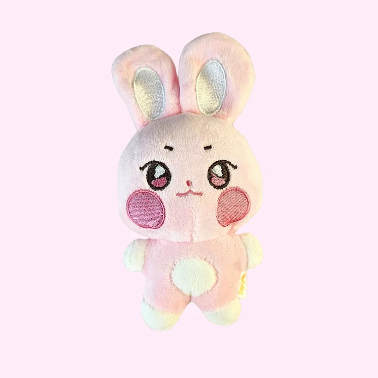 Ateez Aniteez Plushie Keychain
