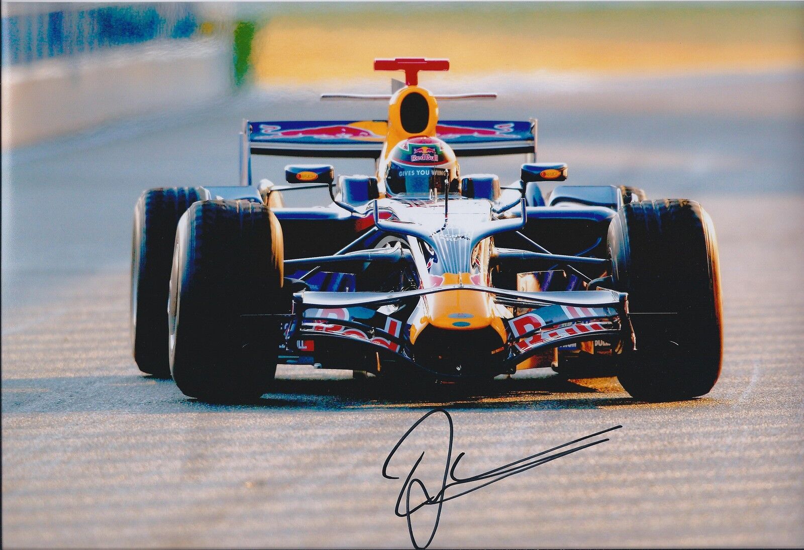 Brendon HARTLEY Signed 12x8 Red Bull Test Driver F1 Photo Poster painting Autograph AFTAL COA