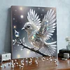 (Framed)Diamond Painting -DIY Round Drill Bird with Frame(25x25cm)