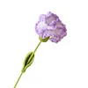 (Finished Product)Crochet Carnation Artificial Carnation Exquisite Aesthetic for Gift Home Office Decor