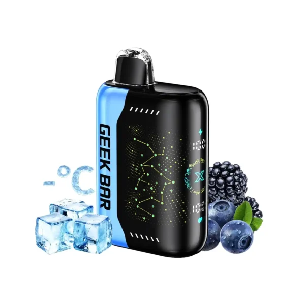 Blackberry Blueberry GEEK BAR Pulse X 25K Disposable Vape Best Vape