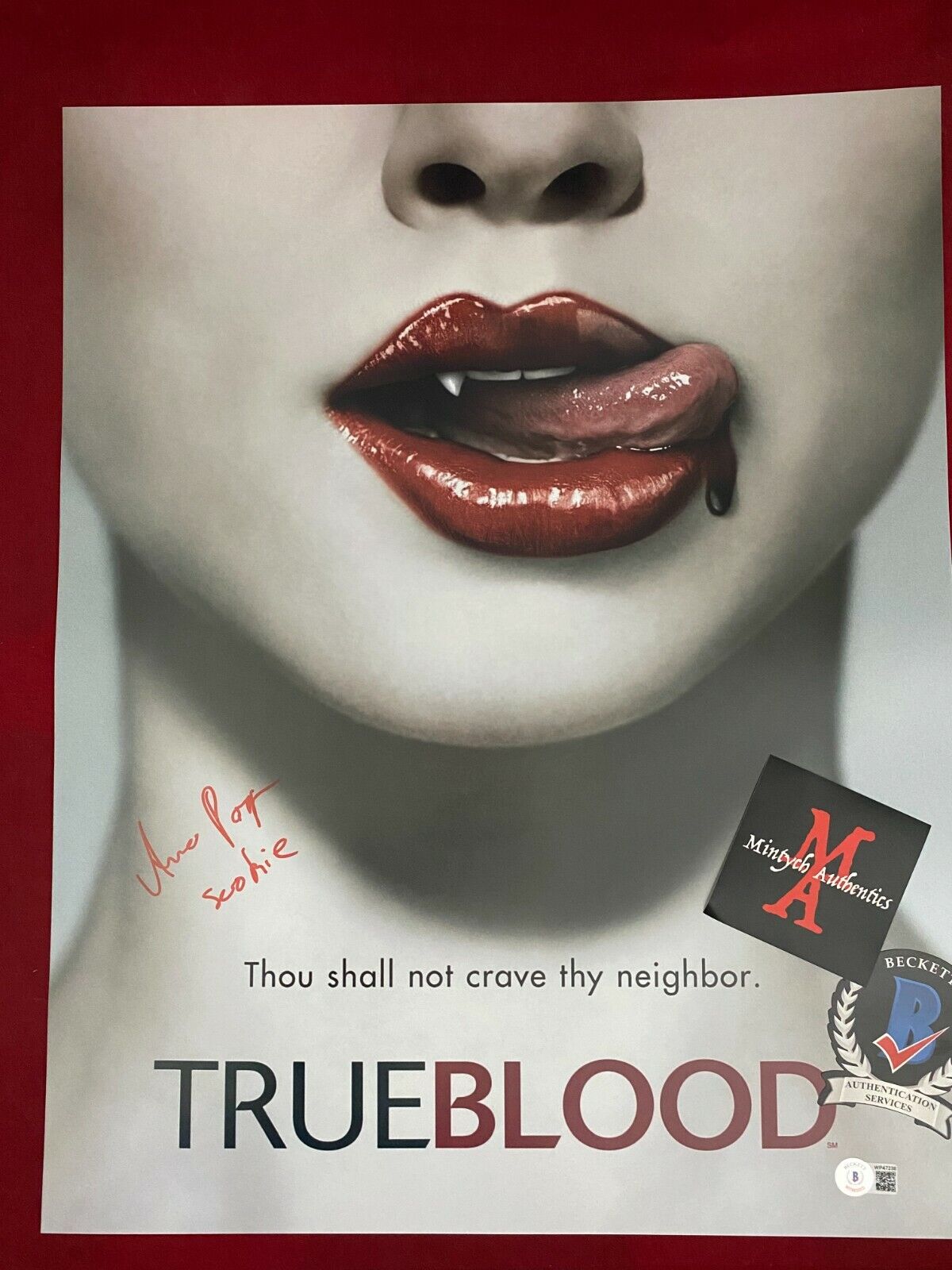 ANNA PAQUIN AUTOGRAPHED SIGNED 16x20 Photo Poster painting! TRUE BLOOD! SOOKIE! BECKETT COA!