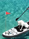 Kayak Flag Mount Kit with Screws Base Boat Flag Mount Set for Kayak Canoe Boat