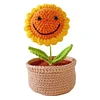 DIY Flower Potted Crochet Kit with Video Tutorial Cute Plants Hand-Knitted Tool