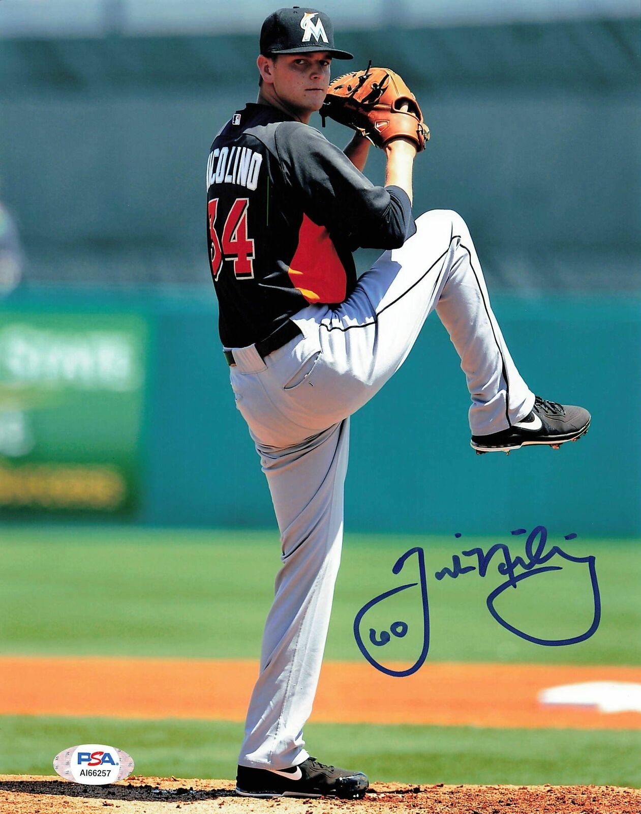 Justin Nicolino Signed 8x10 Photo Poster painting PSA/DNA Miami Marlins Autographed
