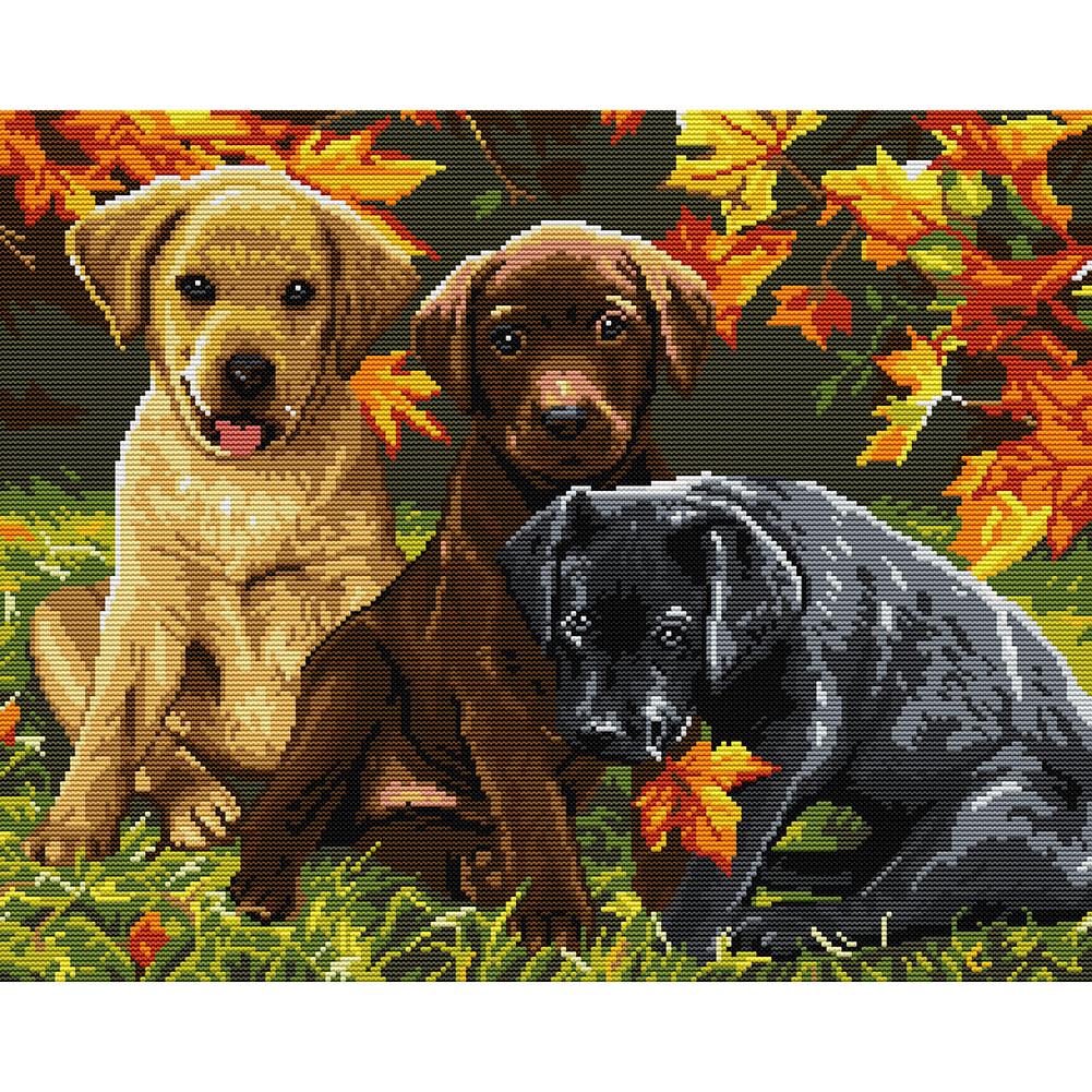 

Dogs - 14CT Stamped Cross Stitch - 48x40cm, 501 Original