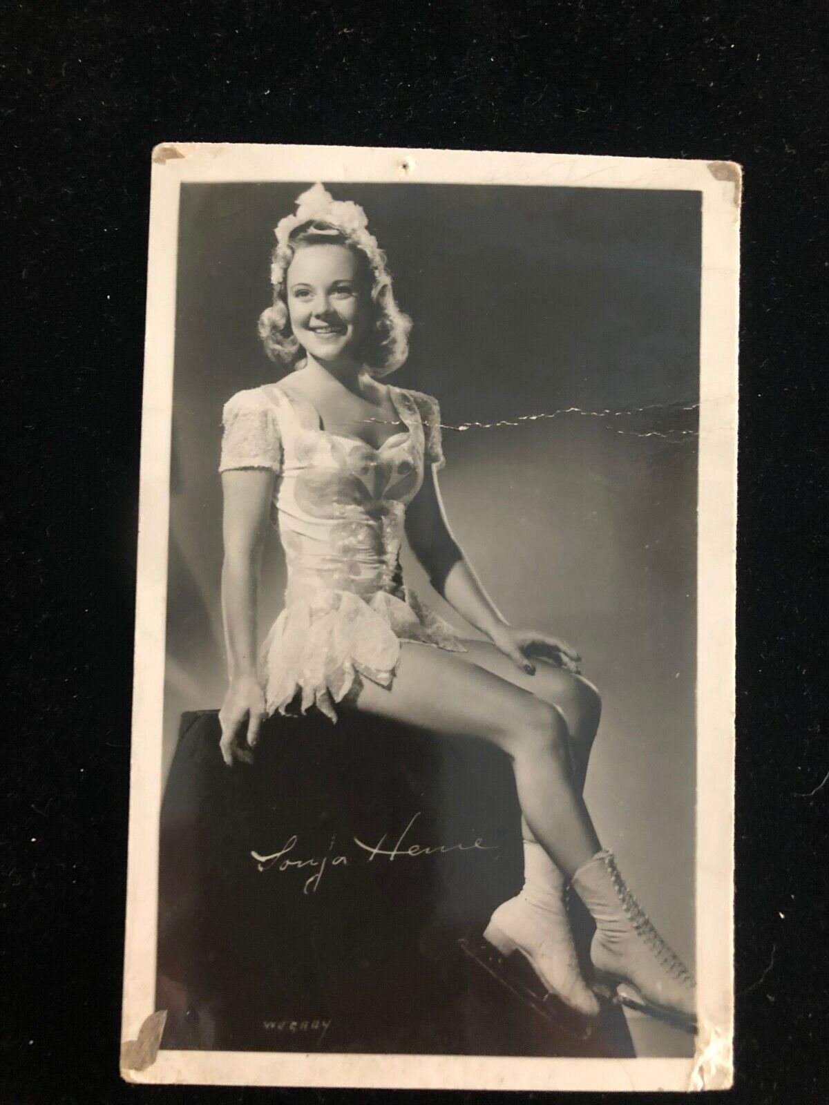 Sonja Henie Glossy Photo Poster paintinggraph / Postcard Style - Circa 1940's