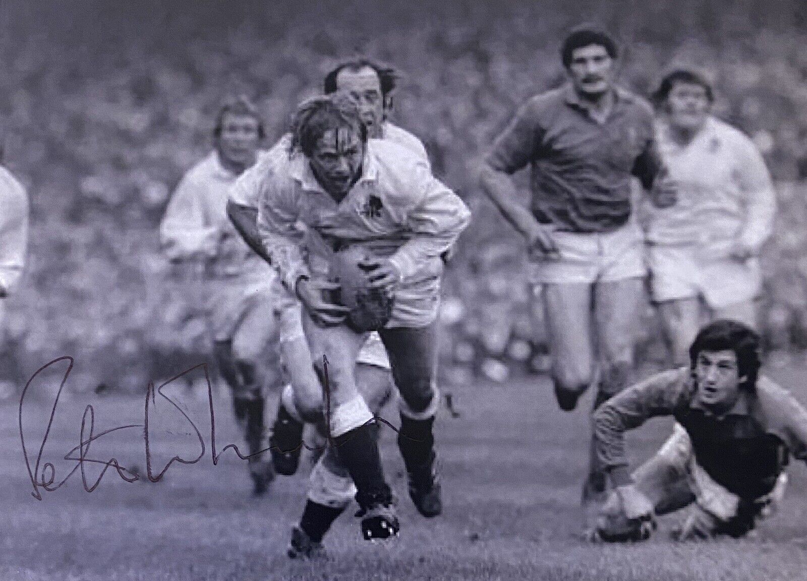 Peter Wheeler Genuine Hand Signed England 6X4 Photo Poster painting