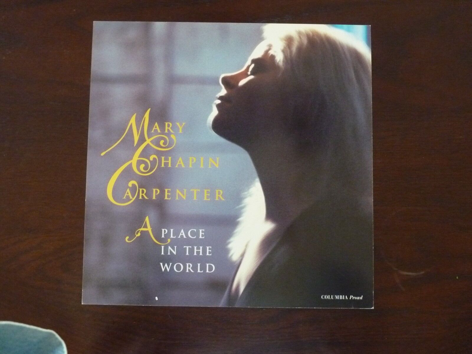 Mary Chapin Carpenter Place in the World Promo LP Record Photo Poster painting Flat 12x12 Poster