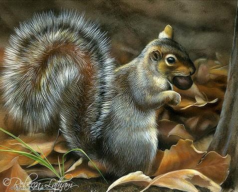 

Grey Squirrel – Paint By Numbers - 40*50CM, 501 Original