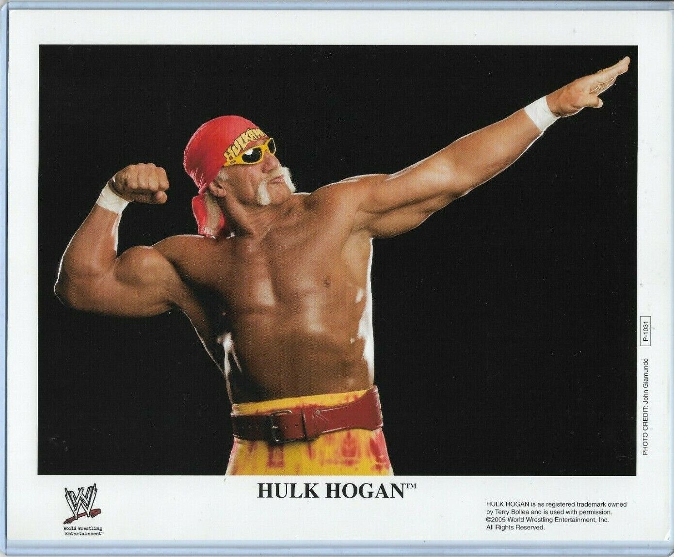 WWE HULK HOGAN P-1031 OFFICIAL LICENSED AUTHENTIC ORIGINAL 8X10 PROMO Photo Poster painting RARE