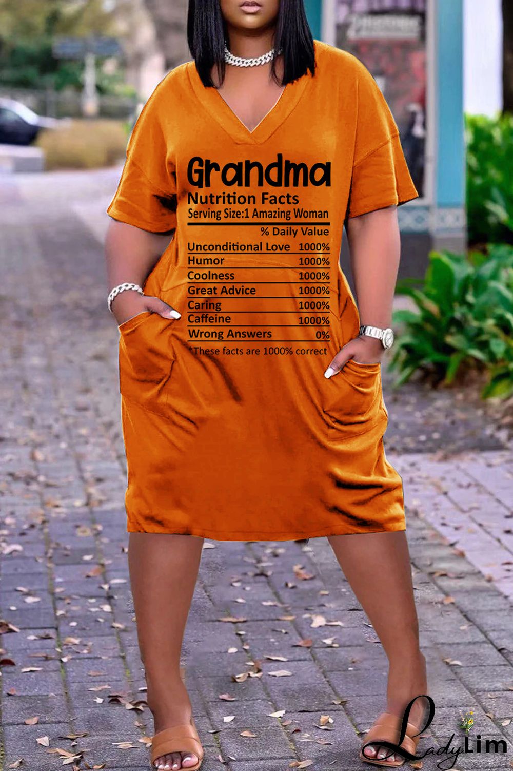 Light Blue Casual Print Basic V Neck Short Sleeve Dress Dresses