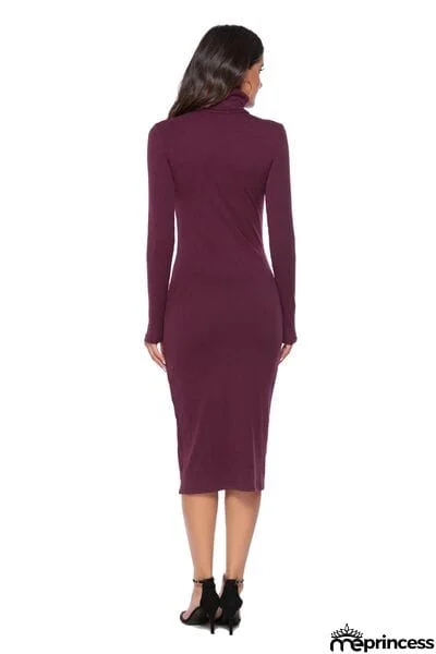 Ribbed Turtleneck Long Sleeve Dress