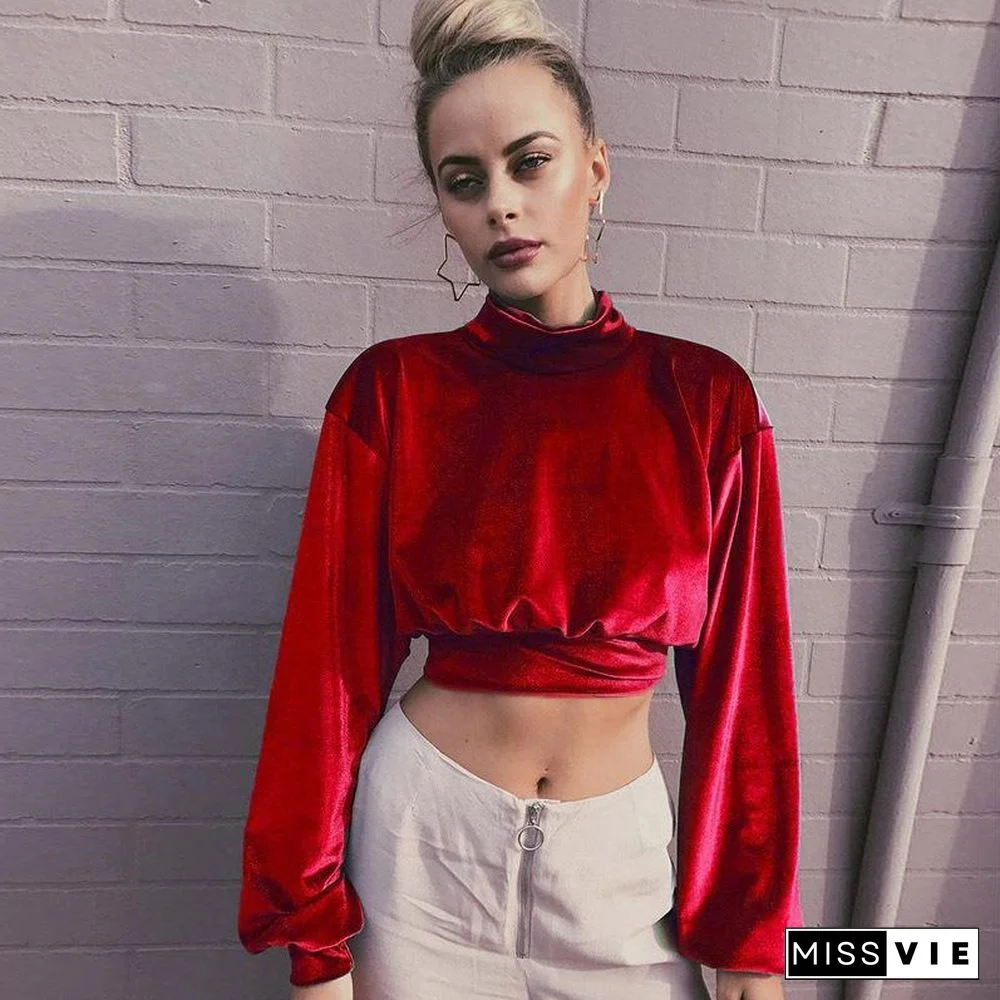 High Neck Midriff Baring Velvet Long Sleeve Top