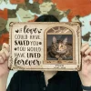 Custom Photo If Love Could Have Saved You Here Cat Lovers Dog Lovers Personalized Custom Classic - Metal Tin Signs(8*12Inch/12*16Inch)