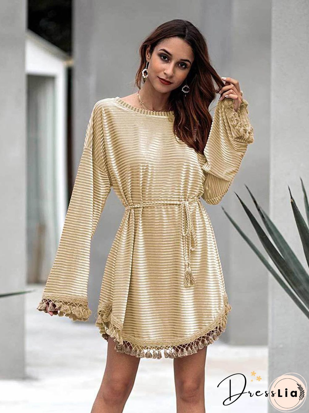 Tassel Round Neck Plain Mini Dress
