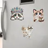 4PCS 2D/Flat Acrylic DIY Diamond Art Fridge Magnet Kit Ragdoll Cat Design DIY Art Fridge Magnet Refrigerator Sticker Magnetic Diamond Art Decor Refrigerator Mailbox Home Decoration DIY Crafts