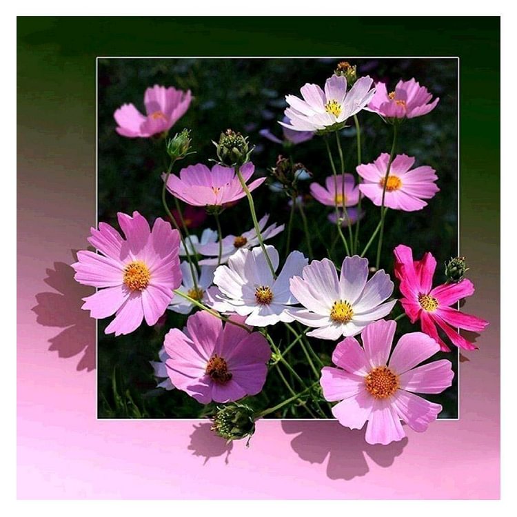 Pink Flowers Round Full Drill Diamond Painting 30X30CM(Canvas) gbfke