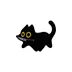 Naughty Black Cat