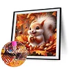 Diamond Painting-DIY Full Round Drill Squirrel