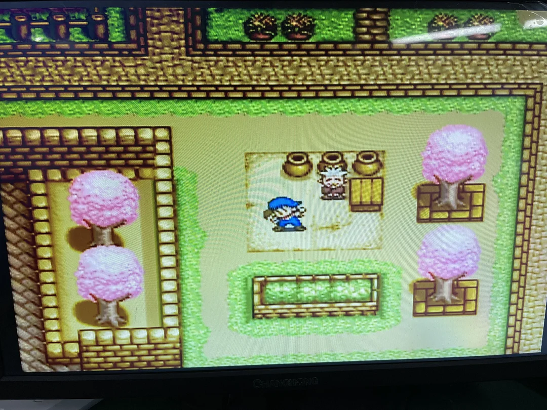 Harvest Moon SNES For Super Nintendo Entertainment System - 16 Bit US Version Game Cartridge