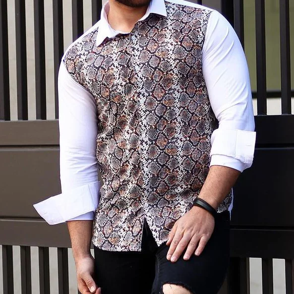 Men's Snake Print Colorblock Print Shirt Vintage Outdoor Casual Long Sleeve Shirt