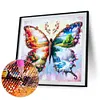Papillon quatre saisons - per&ccedil;age rond peinture diamant - 30*30cm