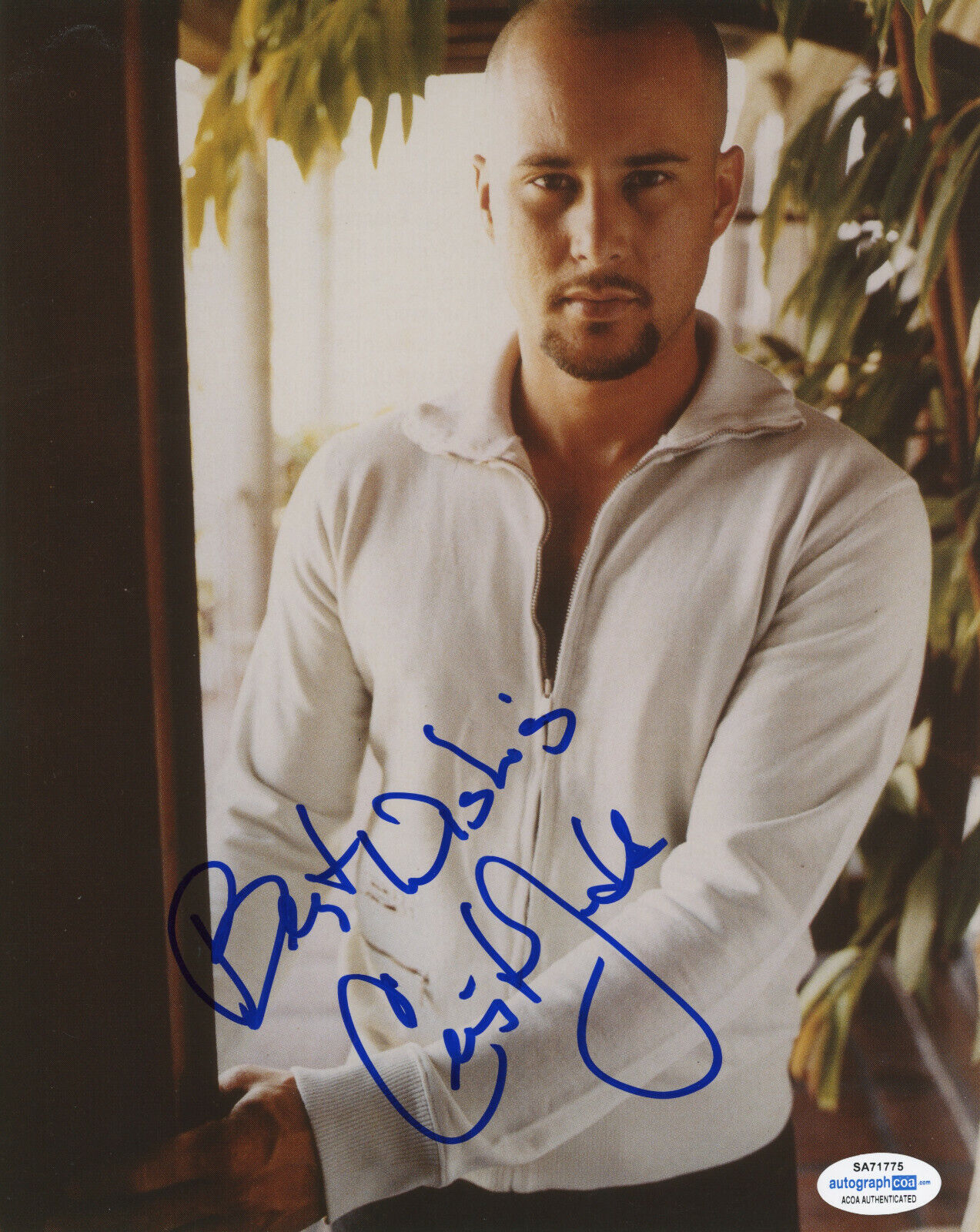 ACTOR / COMPOSER CRIS JUDD SIGNED 8x10 Photo Poster painting! JENNIFER LOPEZ EX ACOA COA