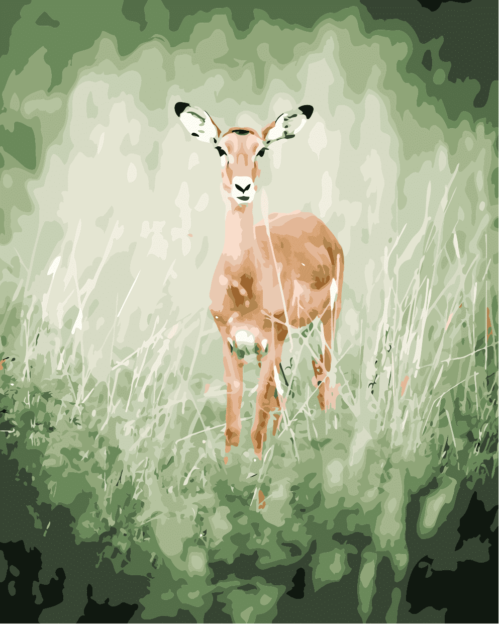 

Wild Impala – Paint By Numbers - 40*50CM, 501 Original