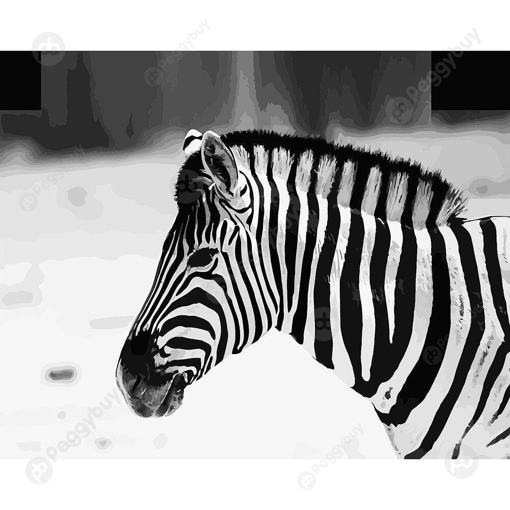

50*40CM Paint By Numbers-Zebra Head, 501 Original