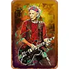 (Multi Style)Music - Vintage Metal Signs - 20*30cm