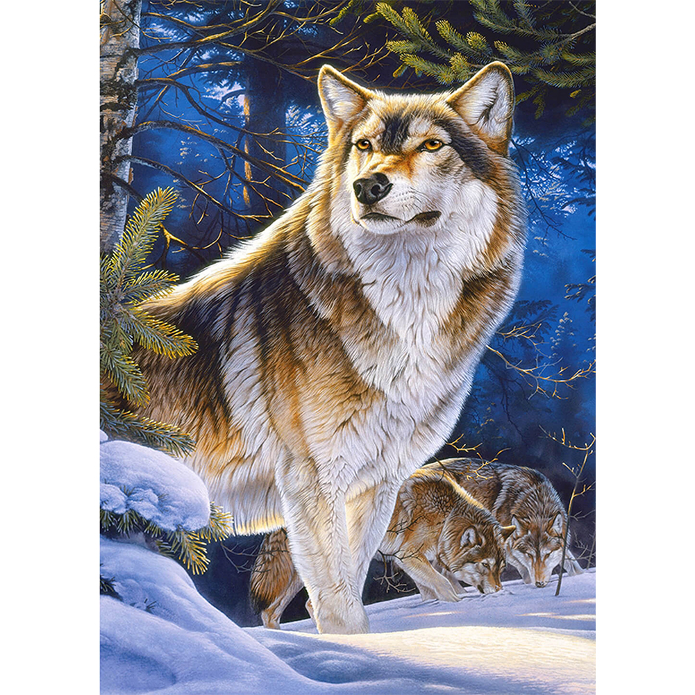 

Snow Wolf - Round Drill Diamond Painting - 30*40CM, 501 Original