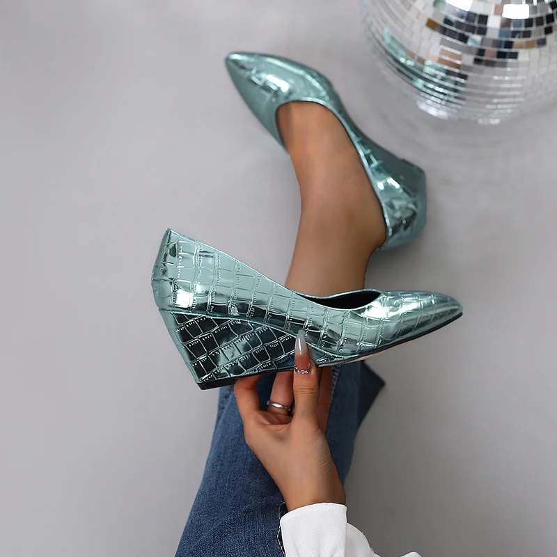 Wongn Wongn Spring And Autumn Slope Heel High Heel Pointed Shallow Mouth Single Shoes Women's Shoes