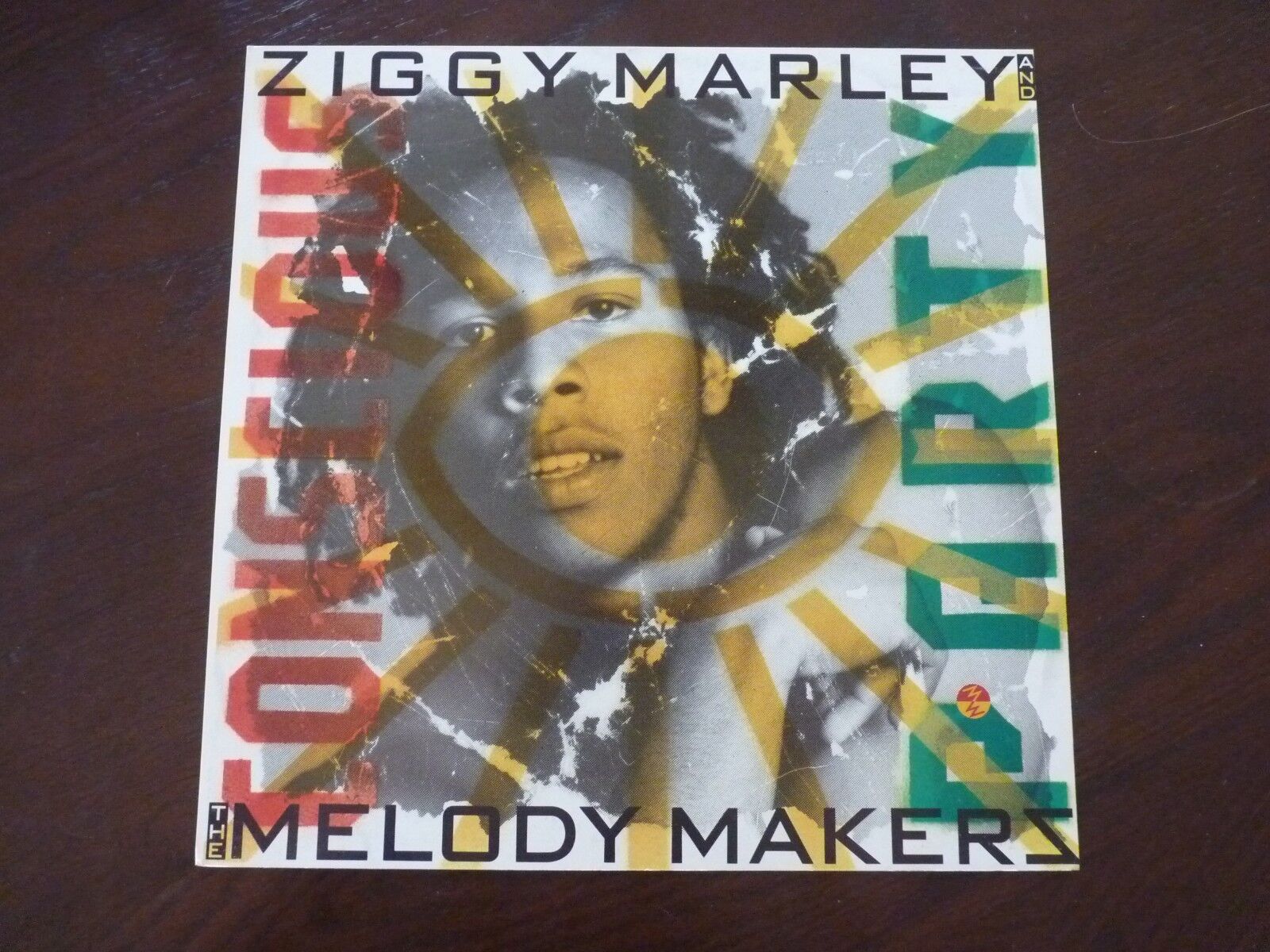 Ziggy Marley Consclous Party Promo LP Record Photo Poster painting Flat 12x12 Poster