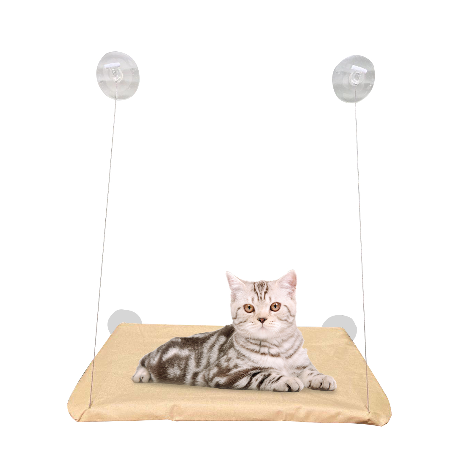 

Cat Hammock, 501 Original